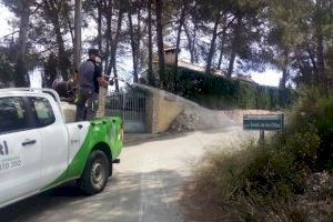 Campaña de Control de Mosquitos en Xàtiva