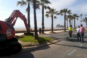 Siguen a buen ritmo los trabajos de mejora de la jardinería en el Paseo Marítimo de Peñíscola tras los efectos de la borrasca Gloria