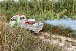 Campaña de Control de Mosquitos en Xàtiva - (foto 2)