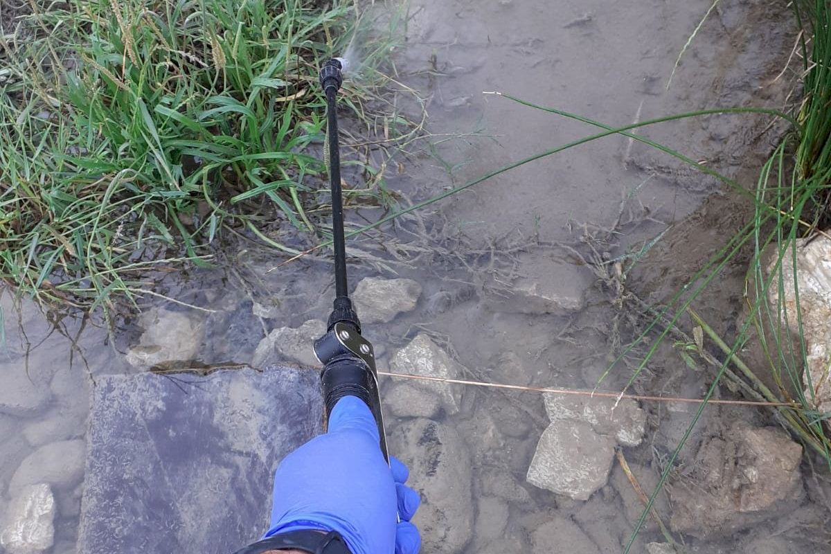 Xixona destina más de 3.000 euros para acabar con el mosquito tigre y otros dípteros