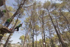 Morella aumenta la apertura de servicios turísticos y establecimientos