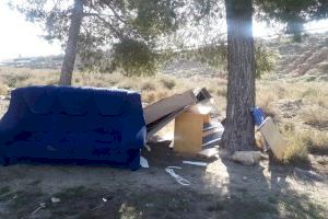 Normativa para el servicio gratuito de recogida de enseres - (foto 3)