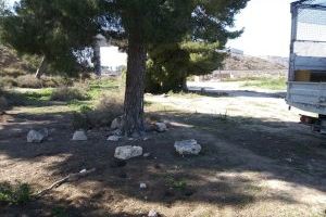 Normativa para el servicio gratuito de recogida de enseres - (foto 4)