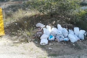 Normativa para el servicio gratuito de recogida de enseres - (foto 14)