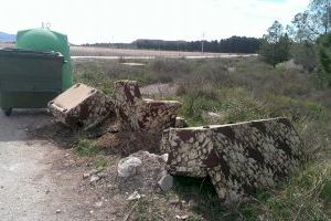 Normativa para el servicio gratuito de recogida de enseres - (foto 20)