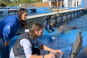 Global Omnium, líders en innovació i compromís mediambiental