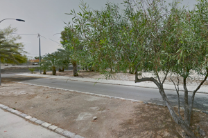 L'Ajuntament de Crevillent sol·licita una subvenció per a les obres al Carrer La Font de El Realengo - (foto 2)