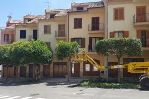 Segorbe adelanta la poda de los árboles de la calle Vall de Uxó y las avenidas España y Sierra Espadán