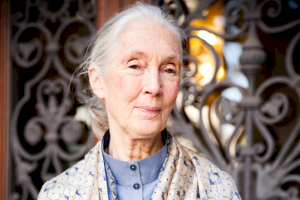 Las Naves i la UPV impulsen la segona edició de "Dondes de Ciència" que homenatja a cientifiques com Concepción Aleixandre, Marie Curie o Nuria Oliver - (foto 2)