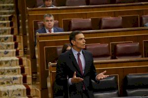 Sánchez: "El Gobierno se ha valido de un instrumento constitucional que ha salvado 450.000 vidas"