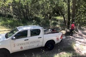 Diferentes cuerpos trabajan para regar la semilla del chopo y evitar incendios en Alcoy