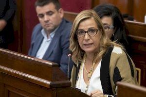 El PP presenta moción para exigir a Consell y Diputación coordinación contra el mosquito