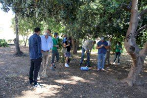 Nules utiliza insectos para la realización de tratamientos de plagas más respetuosos con el medio ambiente y la salud