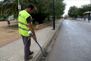 Ontinyent intensifica les tasques de control i prevenció de plagues de cara a l’estiu