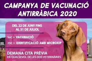 Este lunes se inicia la campaña de vacunación antirrábica en Crevillent