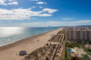 Gandia la primera playa valenciana en aprobar el Plan de Contingencia para recibir a 55.000 personas este verano - (foto 2)
