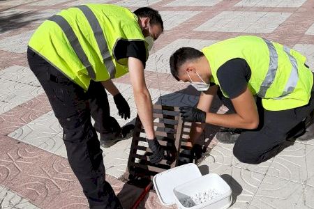Castalla aplica un programa de vigilancia y control larvario de mosquito común y mosquito tigre