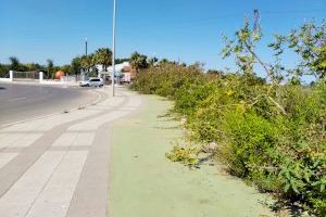 Vox denuncia el estado de abandono de las calles en el entorno de Novenes de Calatrava