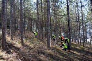 Més de 1.000 persones treballaran per a conservar les muntanyes de la Comunitat aquest estiu