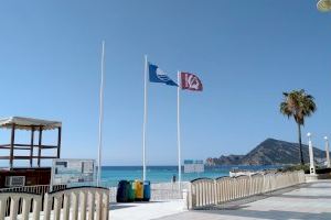 La bandera Qualitur onejarà a huit platges d’Altea