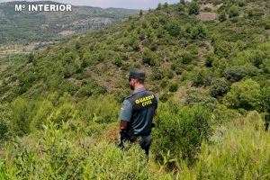 Rescatado un hombre de avanzada edad tras caer desde cuatro metros de altura en un paraje de Borriol