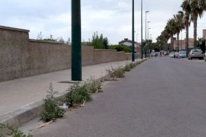 El PP denúncia la falta de neteja viària i desbrossament en les urbanitzacions de Llíria i insta el Govern de Civera a “fer complir el contracte del servici” - (foto 2) El PP denúncia la falta de neteja viària i desbrossament en les urbanitzacions de Llíria i insta el Govern de Civera a “fer complir el contracte del servici” - (foto 2)