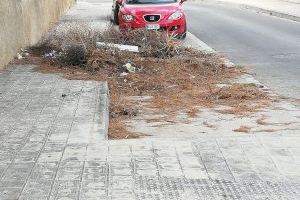 El PP denúncia la falta de neteja viària i desbrossament en les urbanitzacions de Llíria i insta el Govern de Civera a “fer complir el contracte del servici” - (foto 5) El PP denúncia la falta de neteja viària i desbrossament en les urbanitzacions de Llíria i insta el Govern de Civera a “fer complir el contracte del servici” - (foto 5)