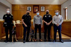 La Policía Local de Burjassot presenta a Boss y Ares, los dos nuevos perros policía de la plantilla