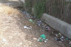 Veïns de Borriana denuncien l'abandó del Camí Fondo i exigeixen la seua neteja - (foto 3)
