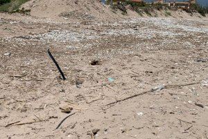 Estat de la platja dels Marenys de Rafalcaid a Gandia