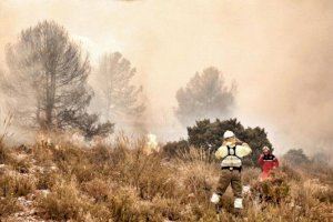 Incendio de Beneixama en el verano de 2019