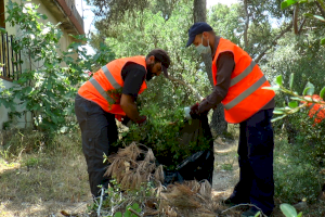 24 personas trabajarán durante este verano en tareas de prevención de incendios en el Vedat y barrancos del municipio