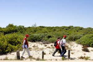 Este dissabte comença a València la labor del voluntariat soci-ambiental de Creu Roja a la Devesa - (foto 3)
