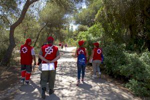 Este dissabte comença a València la labor del voluntariat soci-ambiental de Creu Roja a la Devesa - (foto 4)