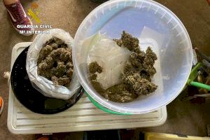 La Guardia Civil desarticula en dos investigaciones diferentes dos puntos de cultivo de droga la localidad de Torreblanca