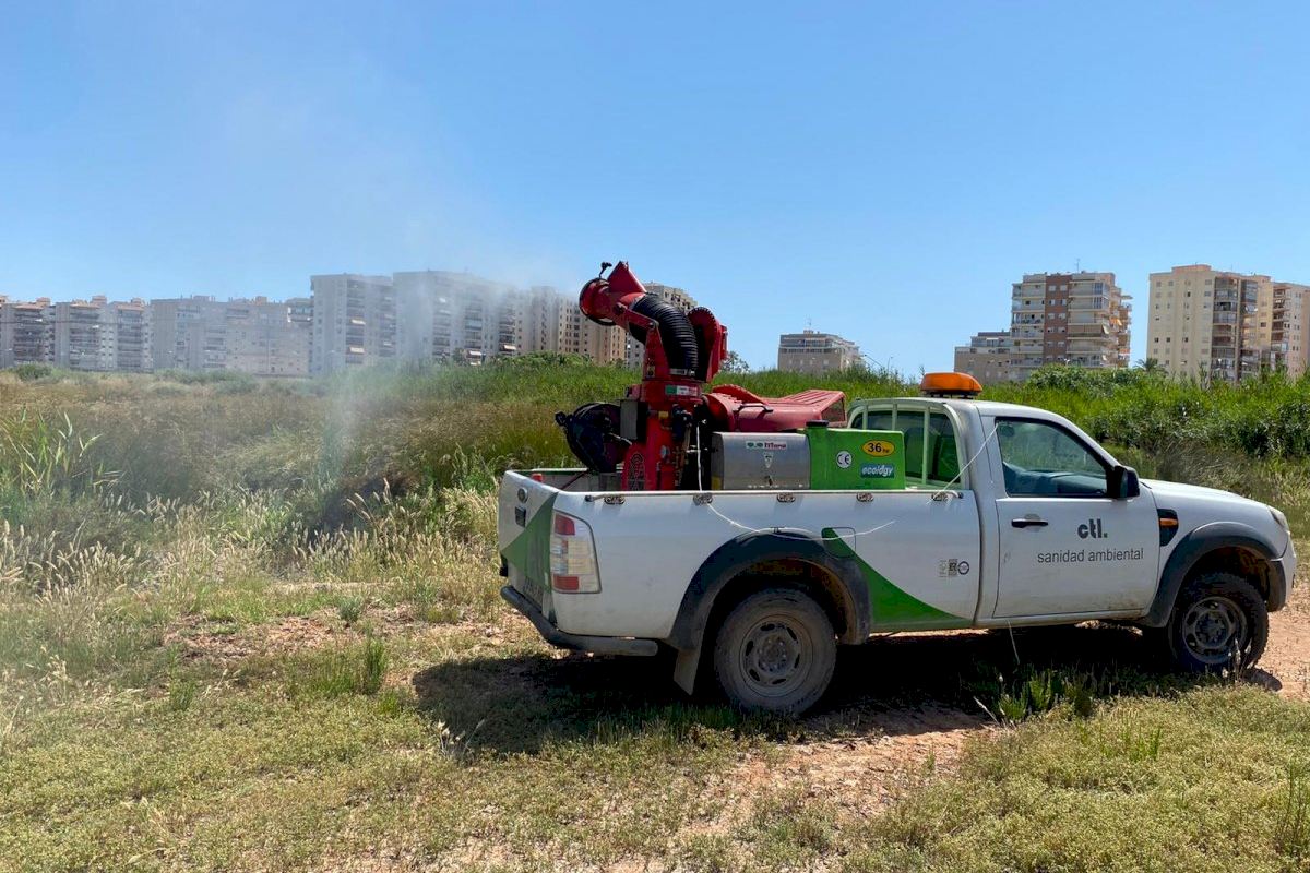 Benicàssim incrementa los trabajos contra mosquitos y otras plagas