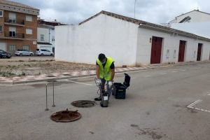 Almussafes refuerza en verano los tratamientos contra los insectos