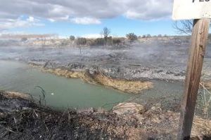 El pleno de Riba-roja aprueba la Cruz al Mérito Policial a 17 agentes y 9 guardias civiles por su labor para extinguir el incendio ocurrido en el parque fluvial del Túria