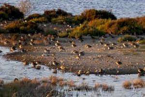 Concurs de fotografia mediambiental: un recorregut per l'entorn natural de Puçol