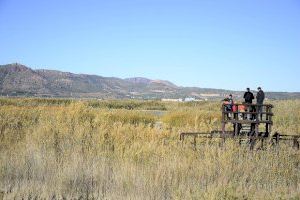 Concurso de fotografía medioambiental: un recorrido por el entorno natural de Puçol - (foto 3)