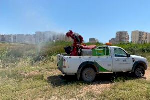 Benicàssim reclama a la Generalitat la inclusió del Quadre de Santiago en els tractaments aeris contra mosquits