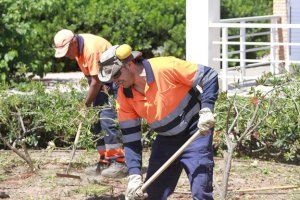 L'imprescindible treball en l'ombra de la brigada municipal