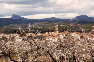 El grup IMK Innovación en Marketing de l’UJI organitza la I Cimera Econòmica de Penyagolosa