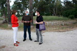 La coordinación entre Castelló y Benicasim multiplica la efectividad de los tratamientos antimosquitos