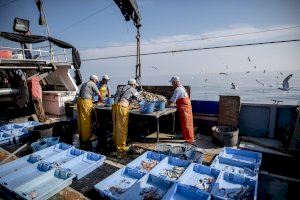 Los pescadores valencianos hacen un llamamiento en su día grande sobre la necesidad de cuidar el ecosistema marino