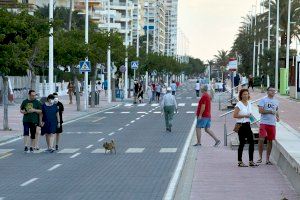 Donen negatiu en Coronavirus els responsables d'un dels comerços de Gandia que havien tancat