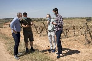 Les brigades de la Diputació ajudaran la comarca Requena-Utiel a netejar camins i camps després de la pedregada