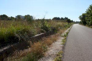 Castelló crea un departament per a assegurar el correcte manteniment del solars