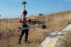 Brigadas de la Conselleria de Medio Ambiente realizan el seguimiento de la microreserva de Banys de la Reina