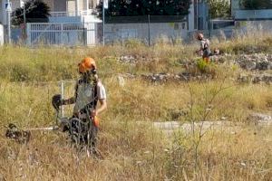 Brigadas de la Conselleria de Medio Ambiente realizan el seguimiento de la microreserva de Banys de la Reina - (foto 2)